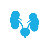 Urologie